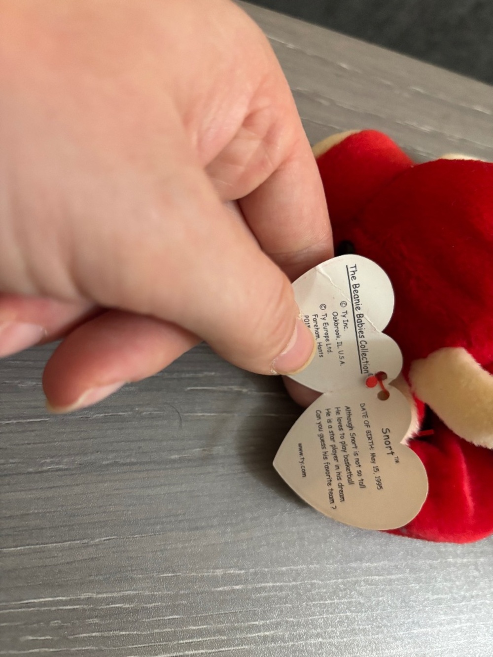 Red TY beanie baby pig snort